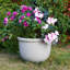 Resin Pot Planter-831856475-933645741