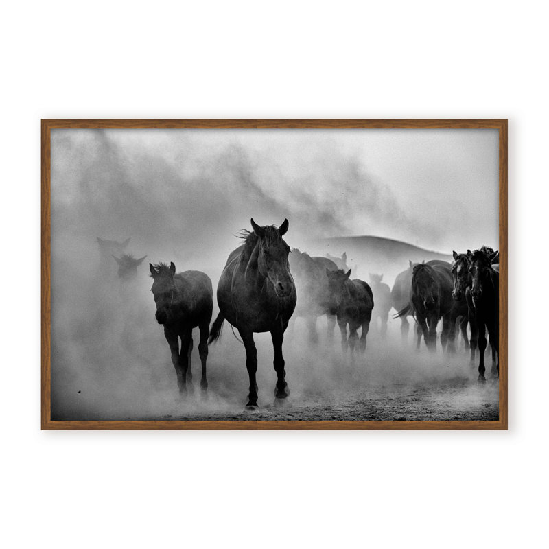 Nature Inspired Untitled by  - Picture Frame Photograph on Paper, 24" H x 36" W x 1.125" D, Black, Framed Matted Print