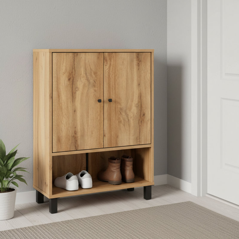 Armoire à chaussures moderne et minimaliste, brun et noir