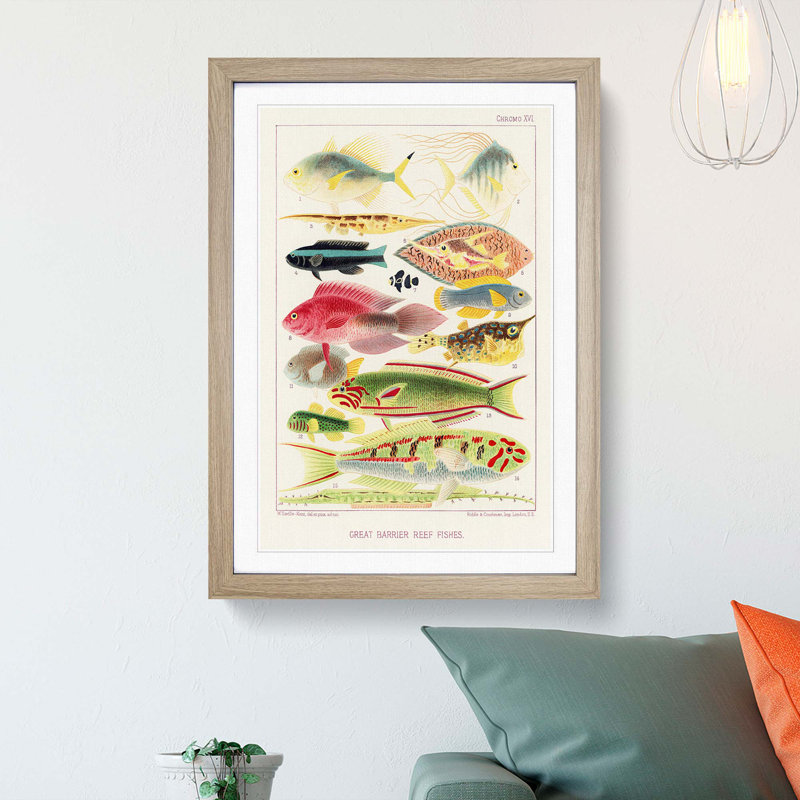 Great Barrier Reef Fishes XVI by W. Saville-Kent - Picture Frame Painting Print, 65cm H x 48cm W x 2cm D, Oak Framed