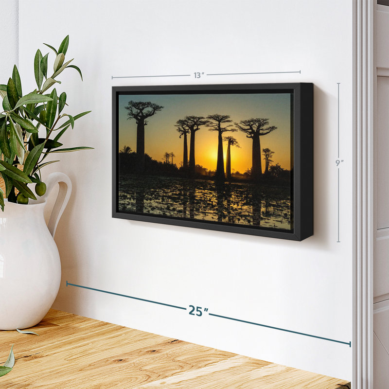 Floral et botanique «Silhouetted Morondava Baobab Trees Print», H 9 po x l 13 po