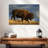 Brampt Walking American Bison-107691918