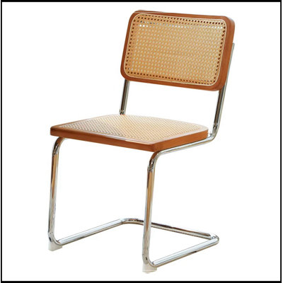 Ensemble de 2 chaises d'appoint latérales en rotin de velours avec pieds en métal