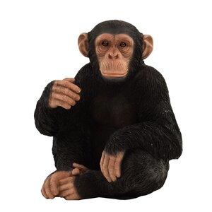 Hi-Line Gift Ltd. Monkey Sitting Statue & Reviews | Wayfair