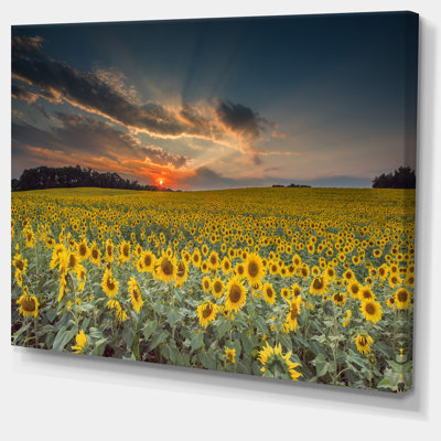 Coucher de soleil avec ciel nuageux Hedy par Jeb Buchman