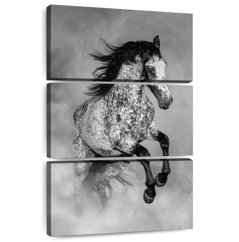 Brampt Black And White Appaloosa, 38" H x 24" W