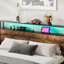 Storage Bed-40096408