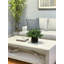 Faux Boxwood Plant in Glass Vase