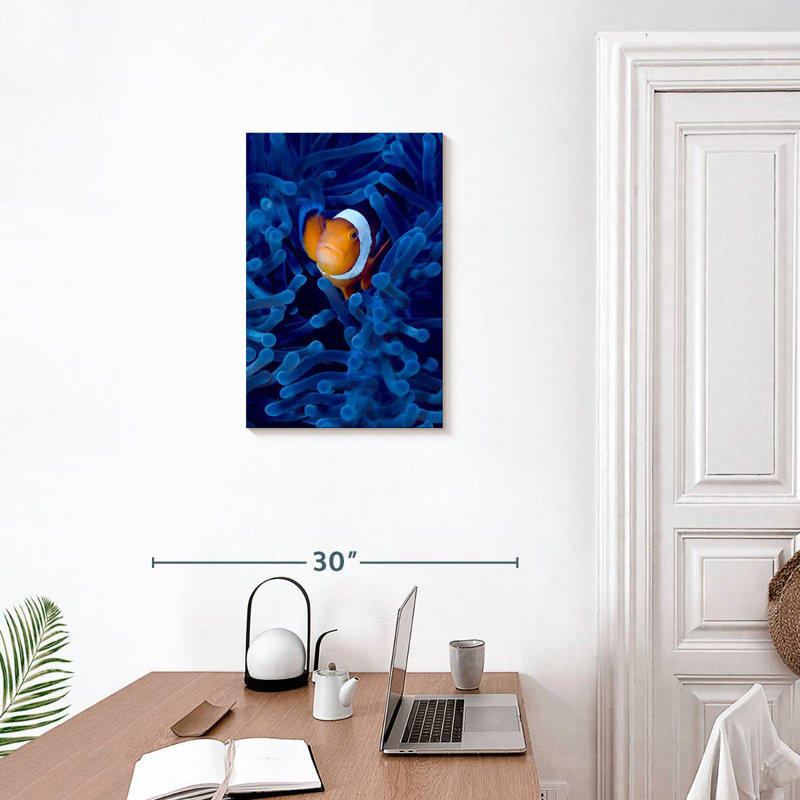 Poisson-clown Brampt Blue Anemone, H 24 po x l 16 po