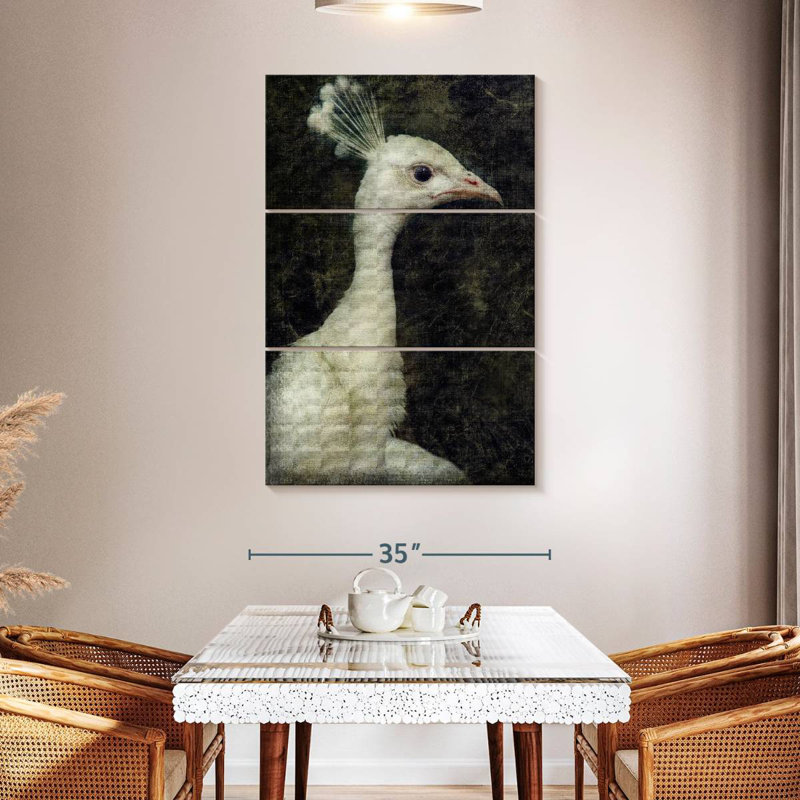 Paon blanc Brampt, H 50 po x l 32 po