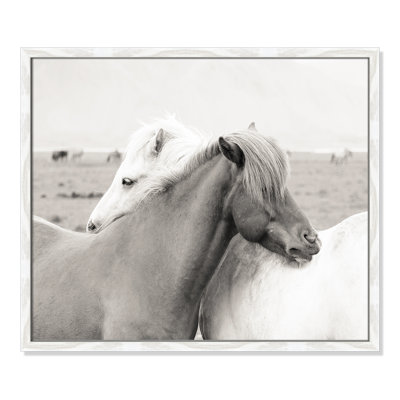 Melanie "Icelandic Meadow Horses" Print