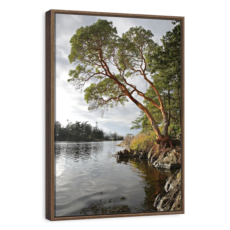 Arbousier au bord de l'eau, Cadre flottant noyer, 27 po x 40 po