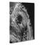 Watchful Elephant - Wrapped Canvas-55305285