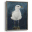 Night Gull I, reproduction encadrée - bois massif-139396852