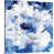 Toile tendue sélectionné