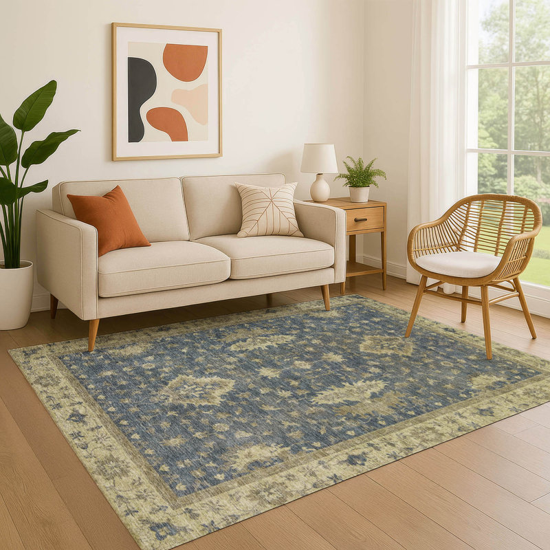 Premium Machine Washable Bucz AMF1739 Border Rug, Rectangle 10' x 14'