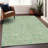 Premium Machine Washable Chandra Sage Rug-1062868669