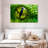 Brampt Green Python Eye-108730986