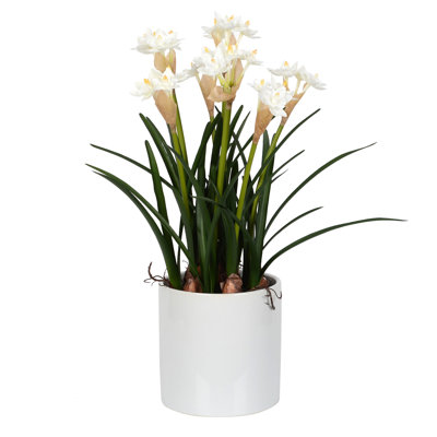 Daffodil Arrangement in Pot