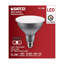 13.3 Watt White LED Bulb
