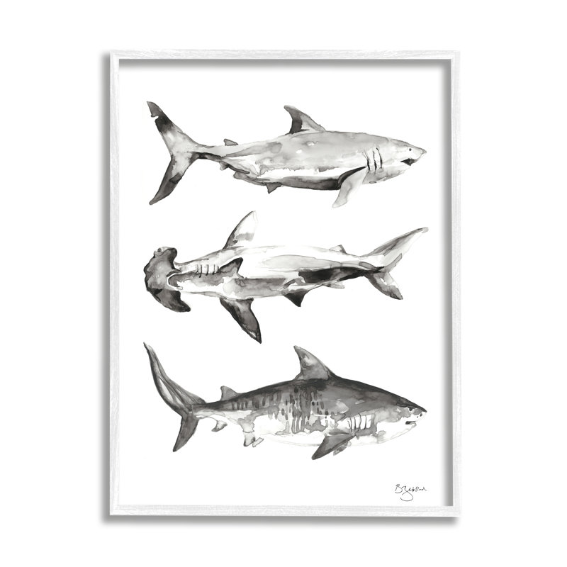 Nautical Shark Trio par Two If By Sea, H 20 po x l 16 po x P 1,5 po, Cadre noir