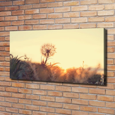 Dandelion - No Frame Print on Canvas