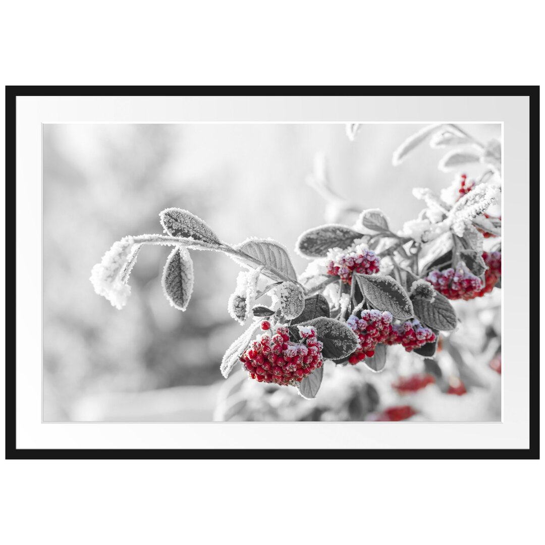 Gerahmtes Poster Vogelbeeren im frostigen Winter