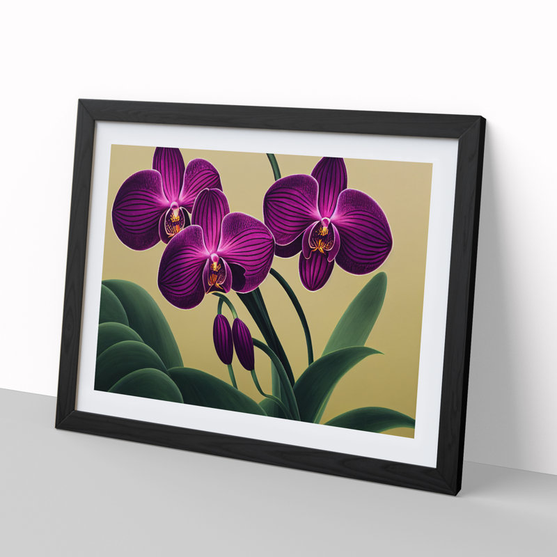 Sacred Orchid Flowers - Single Picture Frame Print, Black Framed, 46cm H x 64cm W x 2cm D