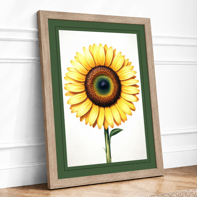 Sunflower Study Botanical - Print, A2 - 59.4 x 42.0 cm, Oak