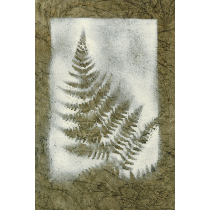 Shadows & Ferns II by Renée W. Stramel - Wrapped Canvas Painting, 122cm H x 81cm W