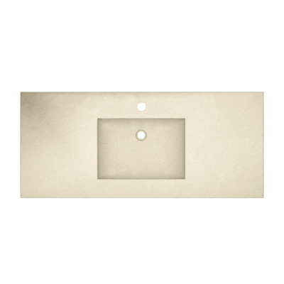 Palomar Concrete Bathroom Vanity Top with Integral Sink
