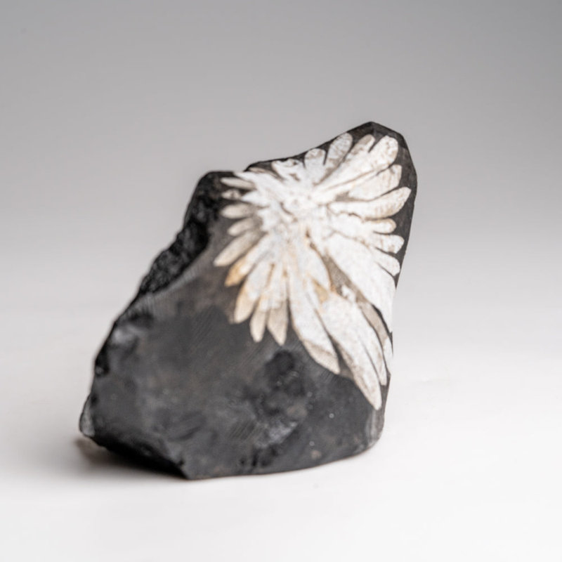 Chrysanthemum Stone From China (110.6 Grams)