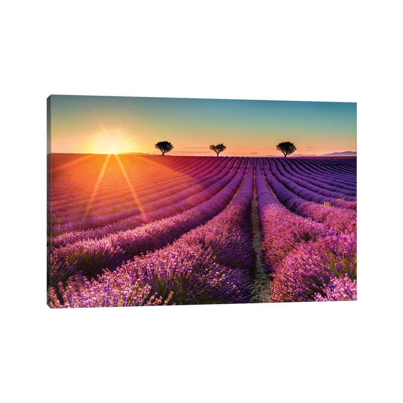 Plateau De Valensole Lavender Field Sunset II by Susanne Kremer - Gallery-Wrapped Canvas Giclée on Canvas, Canvas
