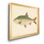 «Donovan Antique Fish II», impression sur toile encadrée-1882898375-1882898426