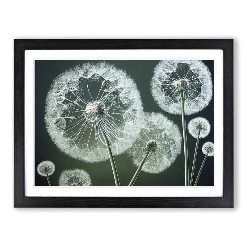 Joyful Dandelion Flowers - Single Picture Frame Print, 25cm H x 34cm W x 2cm D, Black Framed