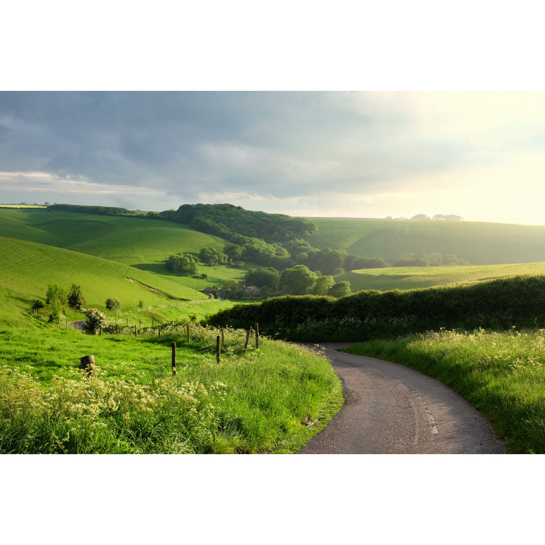 Üppige Dorset Weide - Leinwanddrucke auf Leinwand