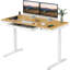 Landaverde 55"x28" Dual Motors Height Adjustable Standing Desk Wireless Charging with Drawer-1124210701-1137575026