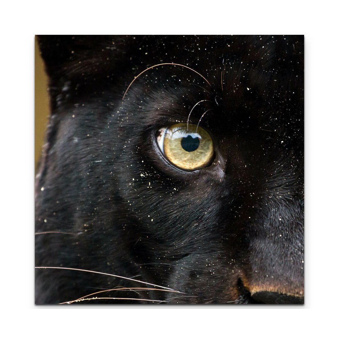 Leinwandbild Panther Auge – Nahaufnahme