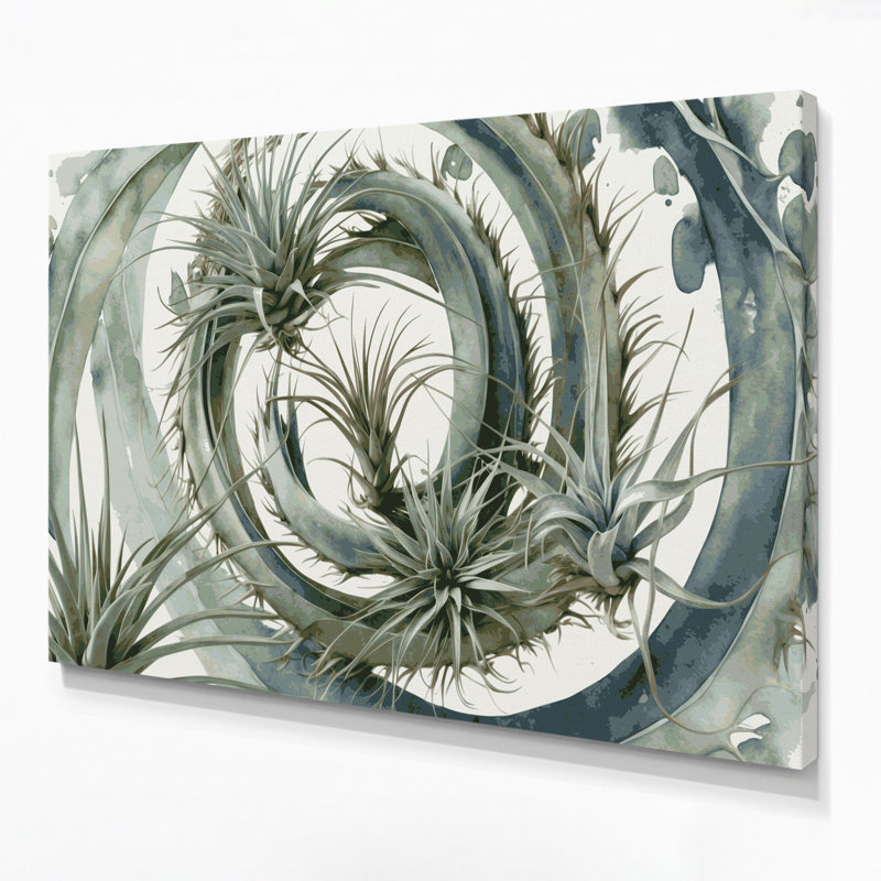 Art mural sur toile Botanical Air Plants, H 11 po x l 14 po