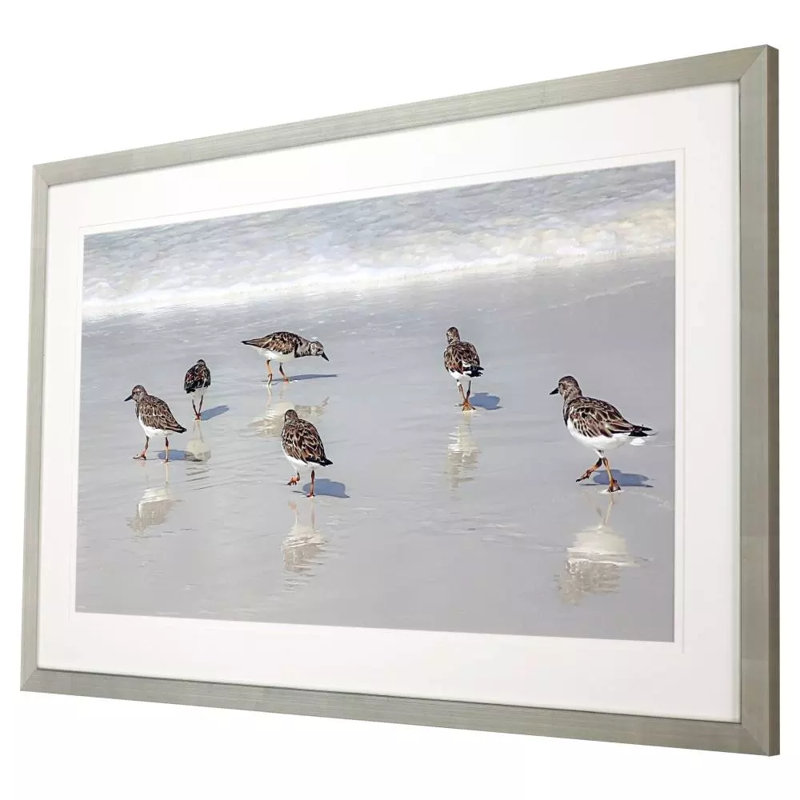 Sandpiper Reflections Framed On Print