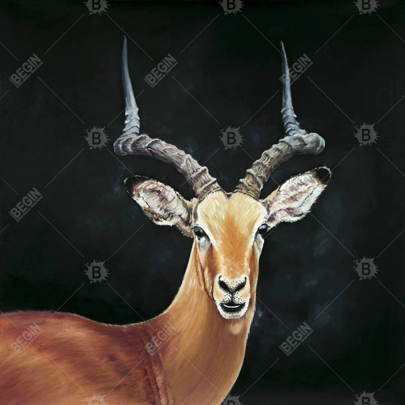" Antelope "