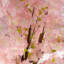Anivea 150cm Faux Cherry Blossom Tree in Pot-1958965890