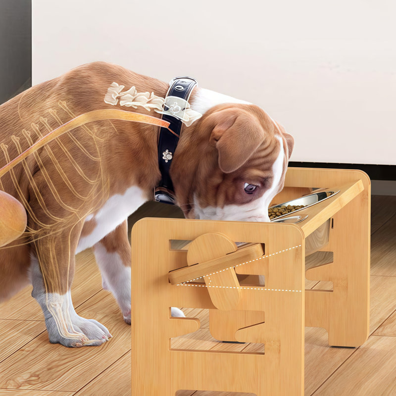 Bols pour chien réglables surélevés, support en bambou avec 2 bols en acier inoxydable, mangeoire à protection du cou inclinée à 15 ° pour petits et moyens animaux de compagnie, antidérapante, facile à assembler