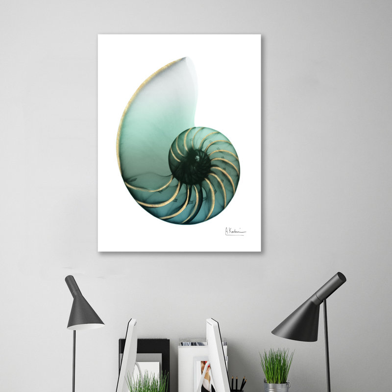 Shimmering Snail 4 - Wrapped Canvas Print, 122cm H x 91cm W x 4cm D