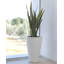 Curvada Resin Pot Planter-49046087-49046082