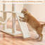 Manorbier 63" H Multilevel Cat Tree for Small and Medium Cats-934833414