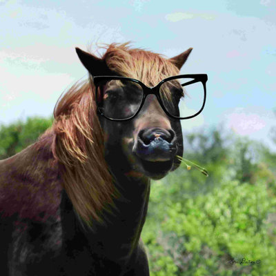 " Let Your Horse Do The Thinking " by Lori Deiter