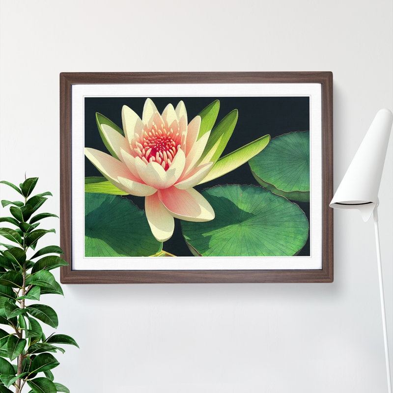 Watercolour Water Lily Flower Vol.1 - Single Picture Frame Print, 34cm H x 46cm W, Walnut