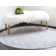Glasser Oriental Indoor Rug
