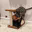 Customer photo 3 of 3